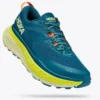 Hoka One One Men's Stinson ATR 6