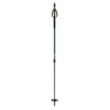 Fischer BC Vario Ski Poles By Fischer