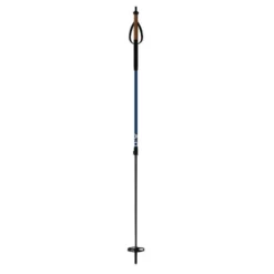 Fischer BC Vario Ski Poles By Fischer