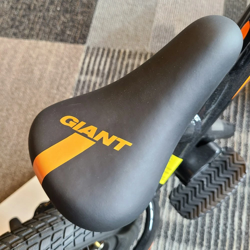 We Ship! Giant Pre Push Bike 2021 12 We Ship! Giant Pre Push Bike 2021 - Image 12