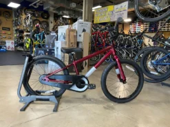 Batch Bicycles Batch 20" Kids Bicycle Gloss Deep Orchid 2022