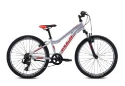 Fuji Dynamite 24 Sport 2021