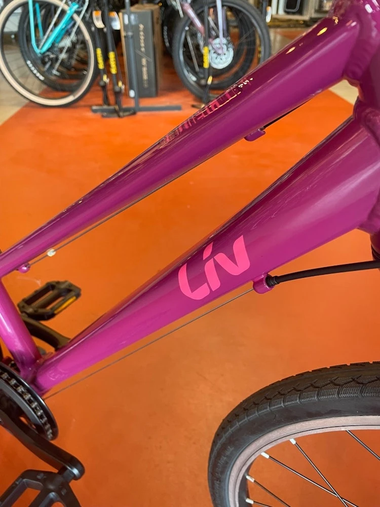 WE SHIP! Liv Alight 24 7 WE SHIP! Liv Alight 24 - Image 7