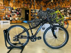 Fuji Dynamite 24 Sport Black