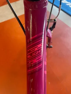 WE SHIP! Liv Alight 24 18 WE SHIP! Liv Alight 24 -Sports Gear Store OMSRunY2X 5fWtbDGm hkB7Mg