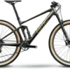 BMC Fourstroke 01 LT TWO