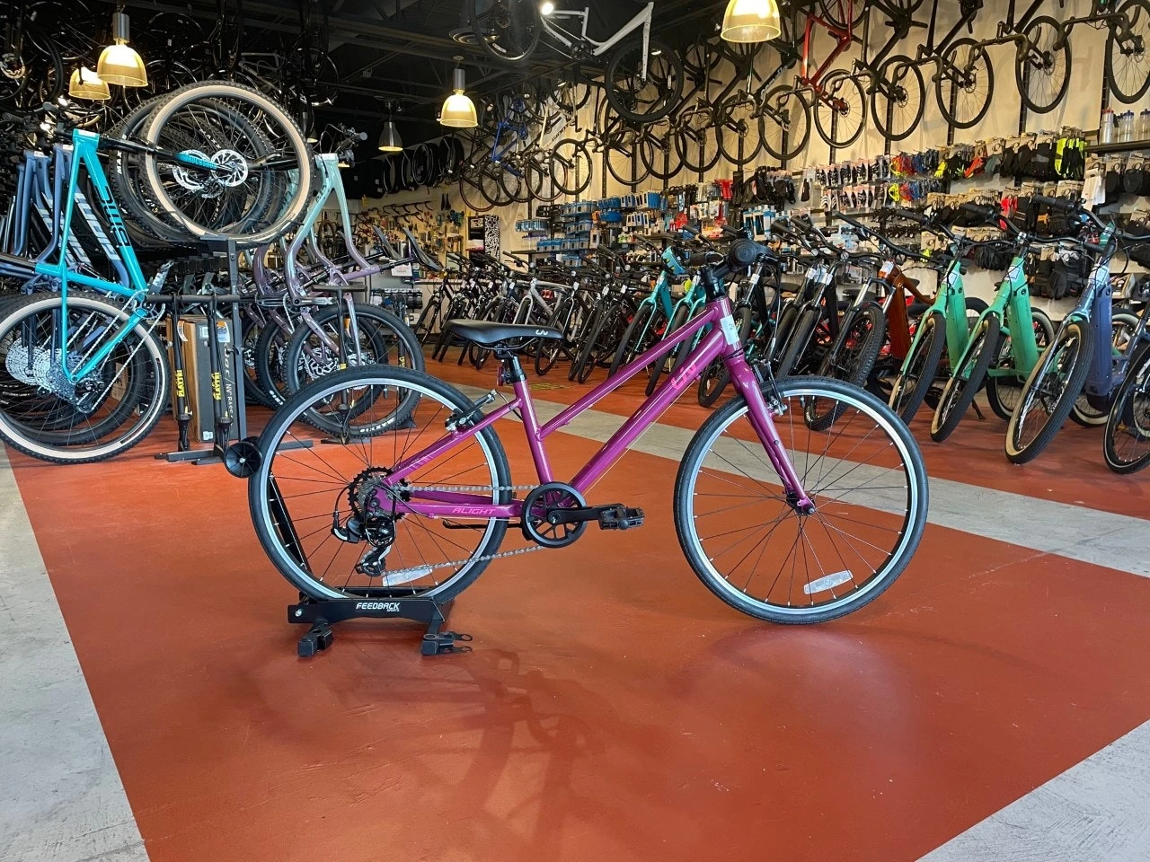 WE SHIP! Liv Alight 24 1 WE SHIP! Liv Alight 24