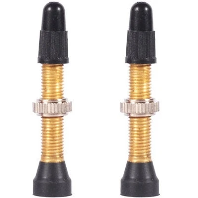 WTB TCS Presta Valve 34mm Brass 2017 1 WTB TCS Presta Valve 34mm Brass 2017