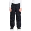DC Banshee Pant 2021 - Boy's