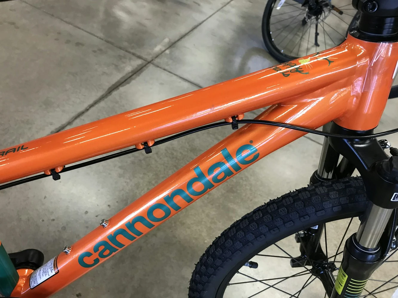 Cannondale Kids Trail 20inch, 7-Speed 2021 6 Cannondale Kids Trail 20inch, 7-Speed 2021 - Image 6