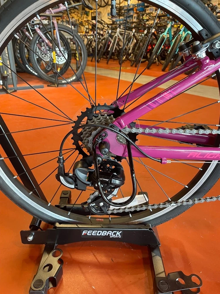 WE SHIP! Liv Alight 24 3 WE SHIP! Liv Alight 24 - Image 3