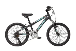 2022 Bianchi Duel 20" Matte Black